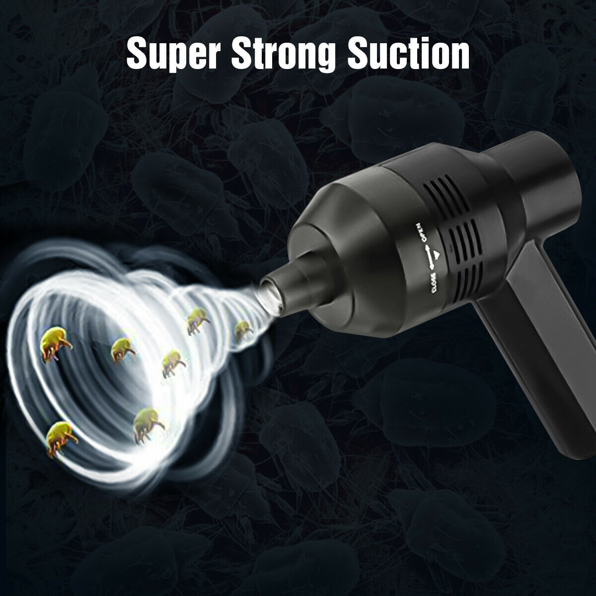 a8d085a3 0a93 419c acbd 740ec44d17b9.jpg